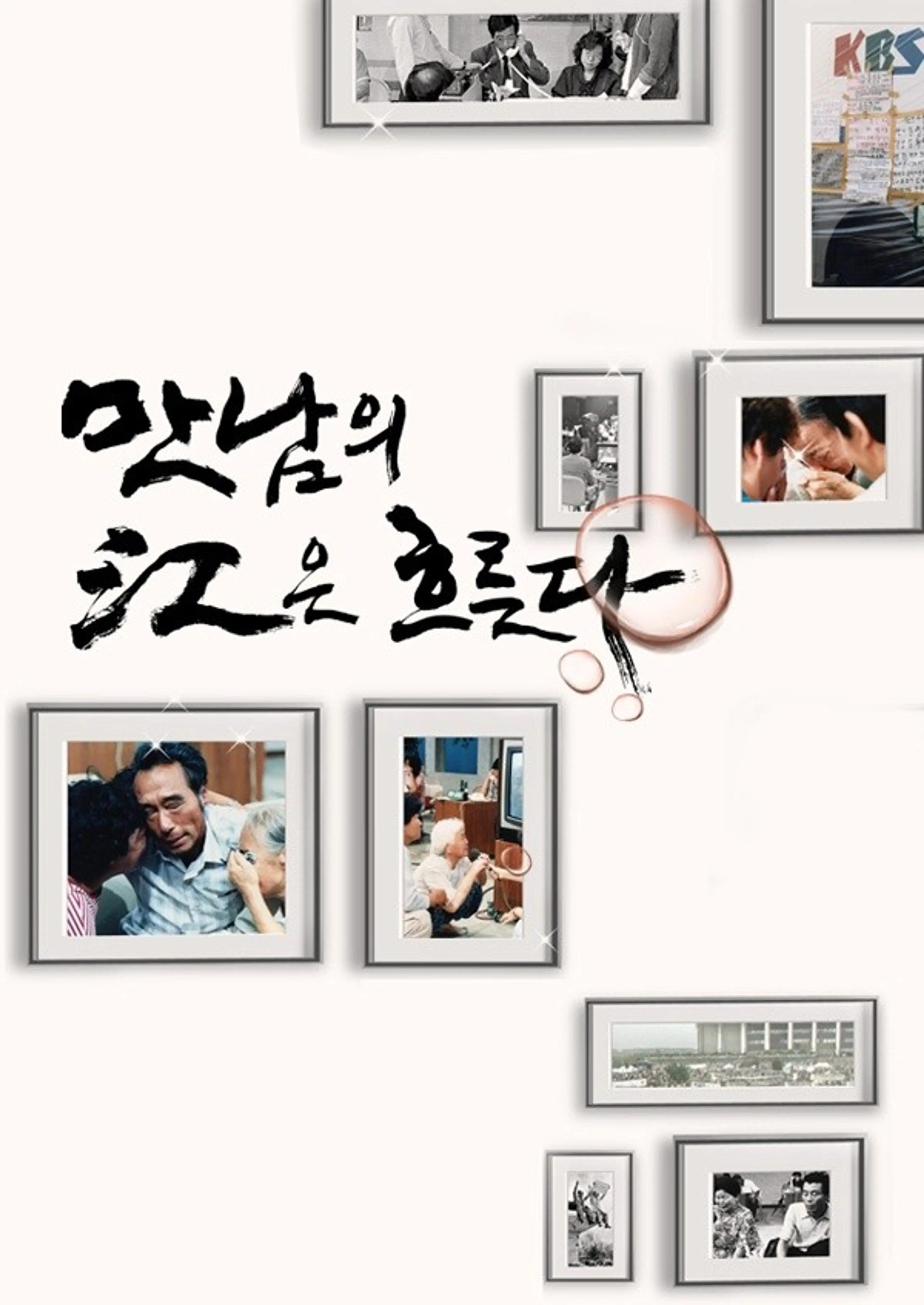 KBS 이산가족찾기 방송32주년 특별생방송 만남의 강은 흐른다