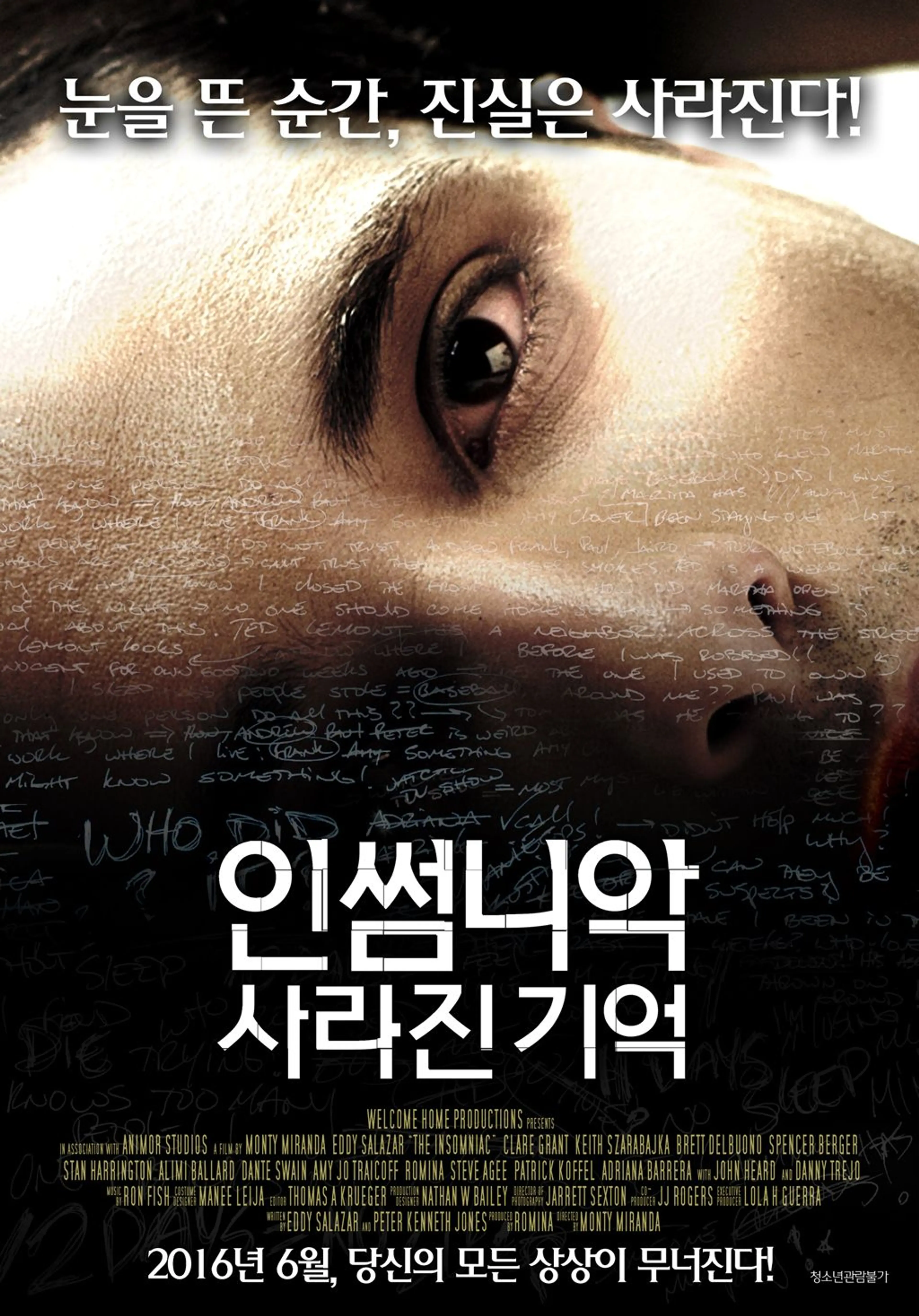 인썸니악 : 사라진기억