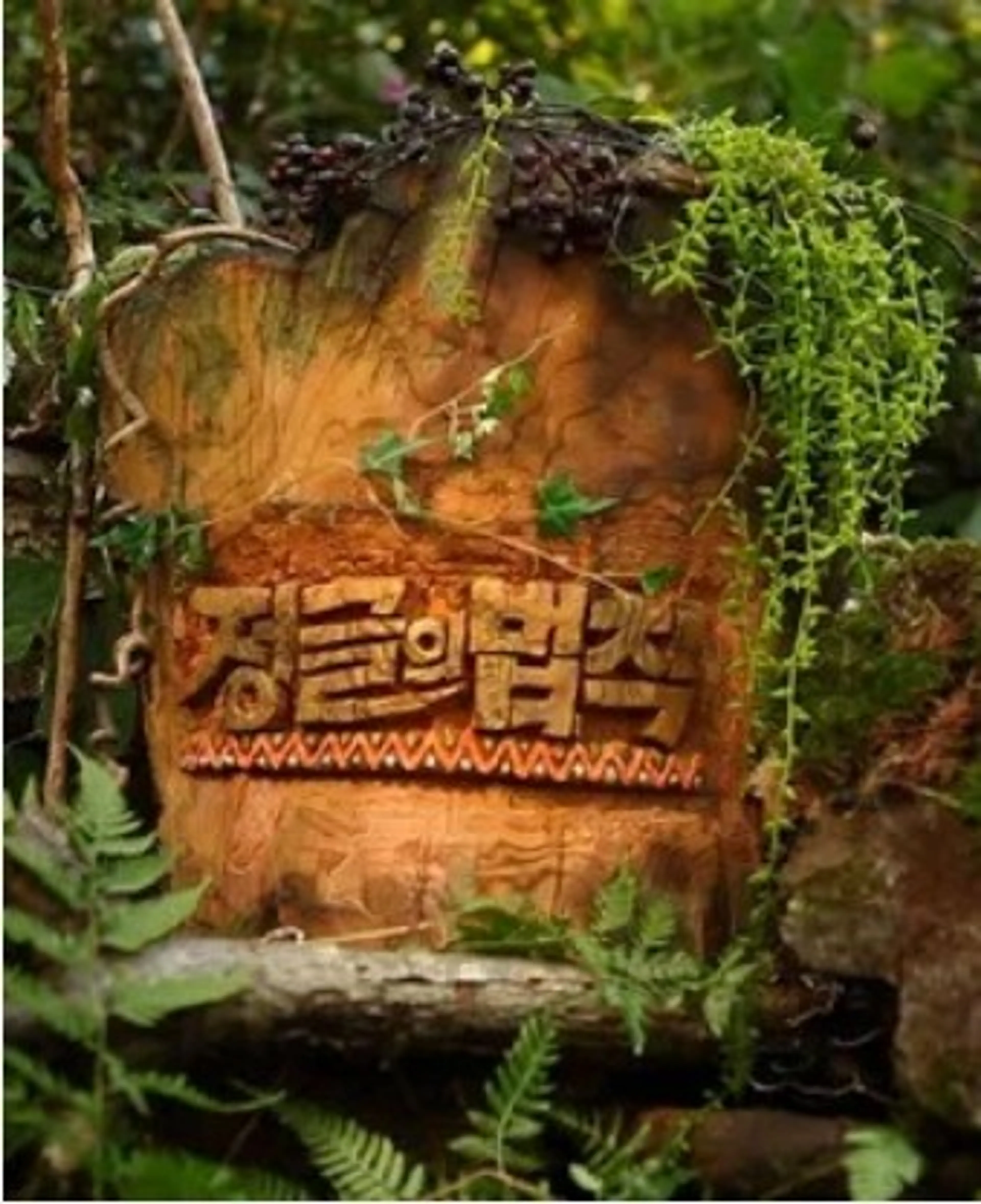 김병만의 정글의 법칙