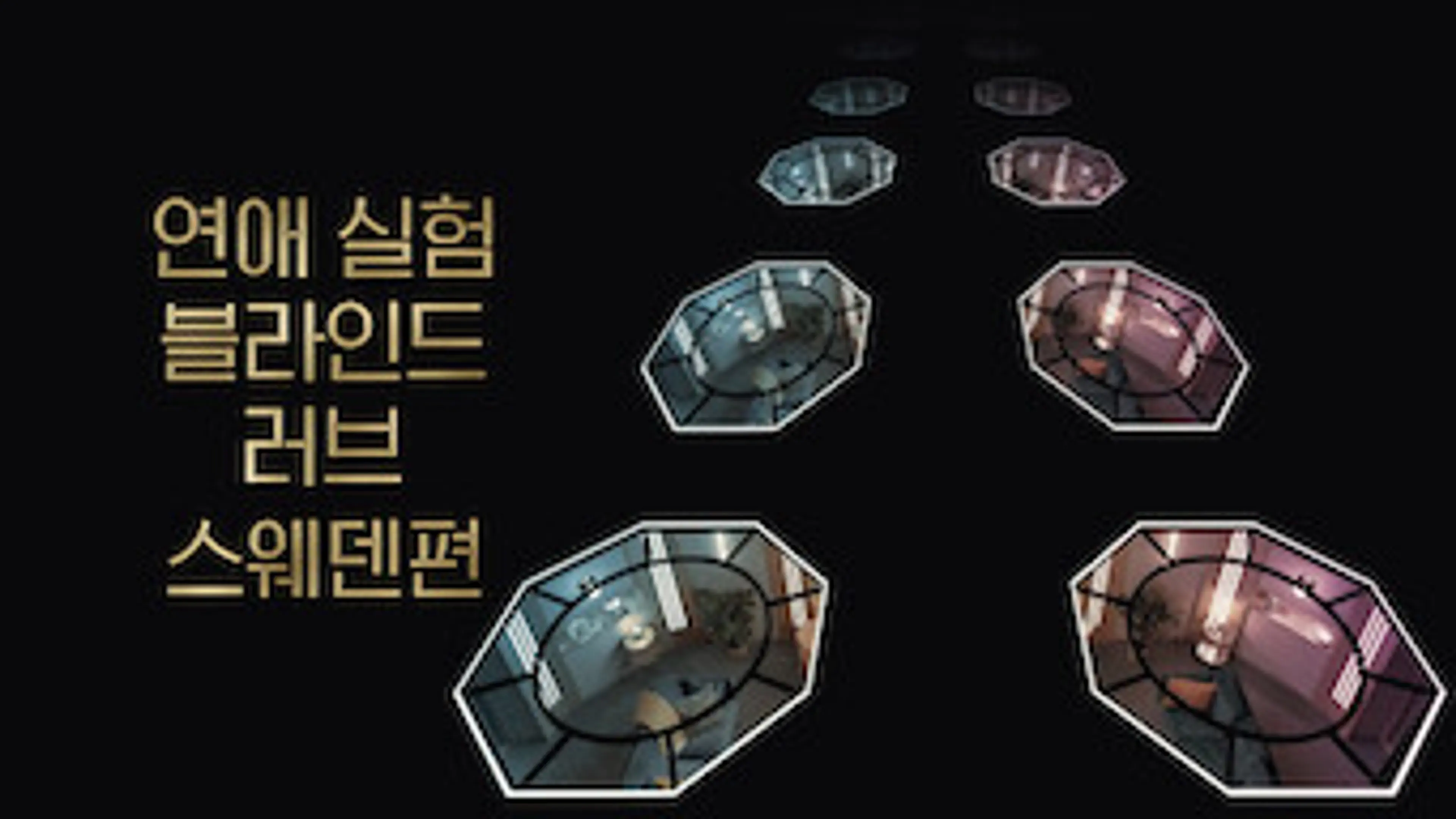 연애 실험: 블라인드 러브 스웨덴편