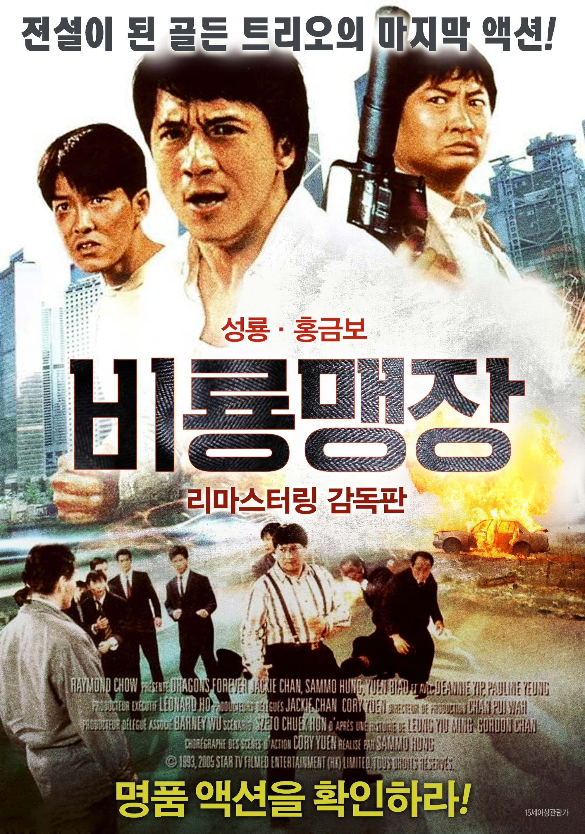 비룡맹장