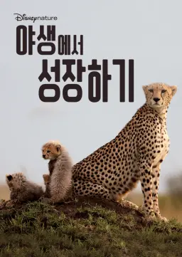 야생에서 성장하기
