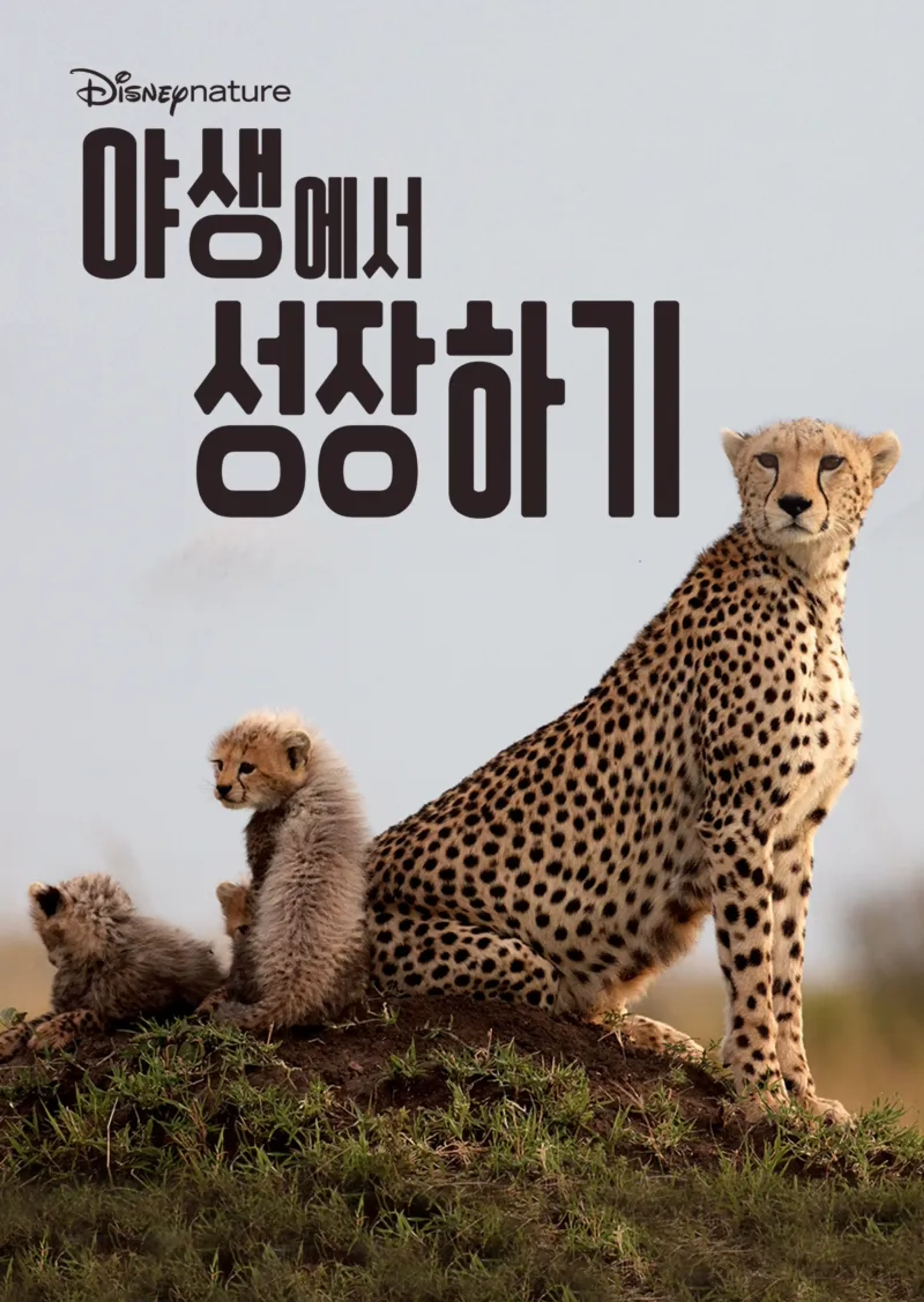 야생에서 성장하기