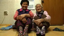 어머니의 백 번째 가을날