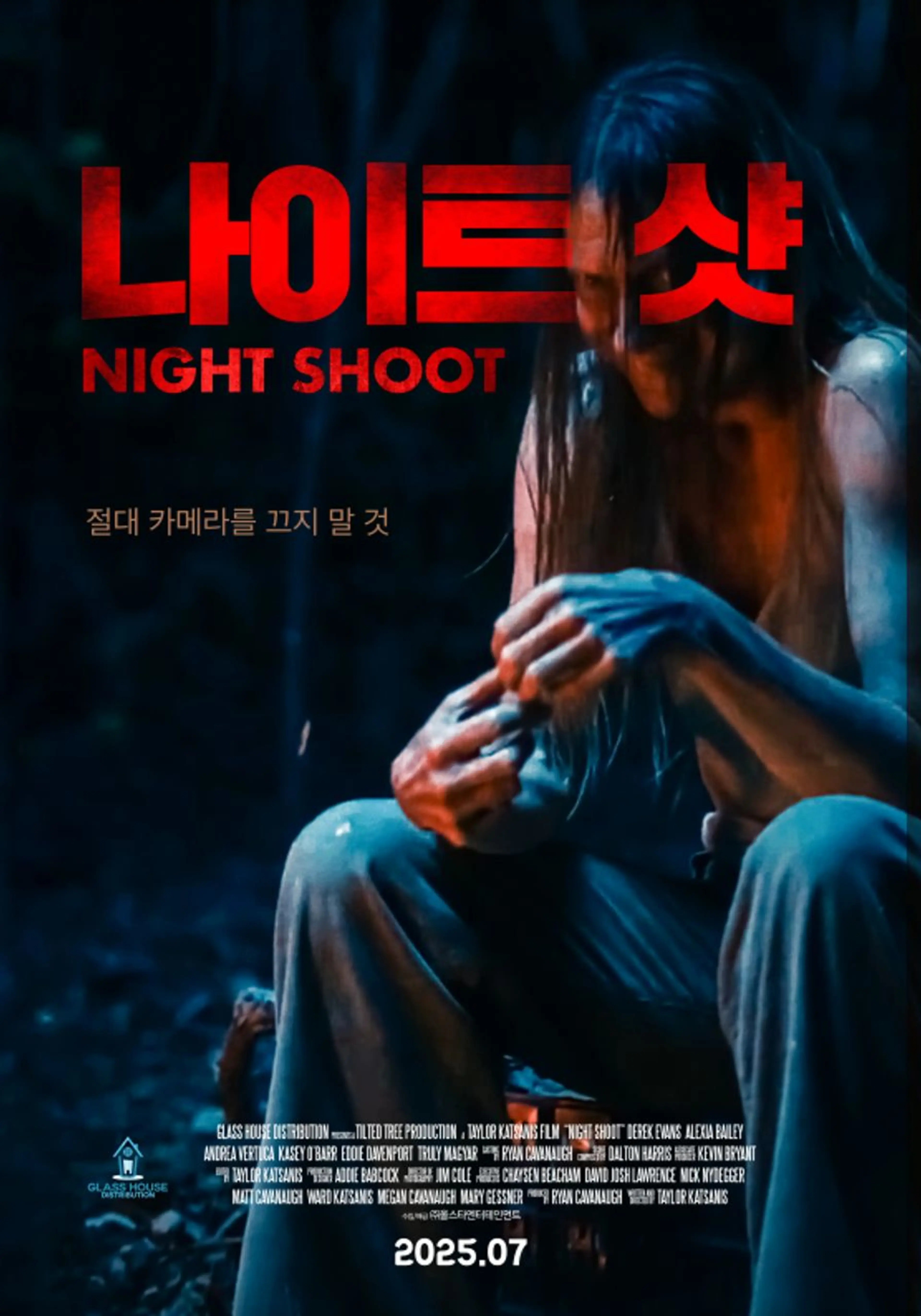 나이트 샷