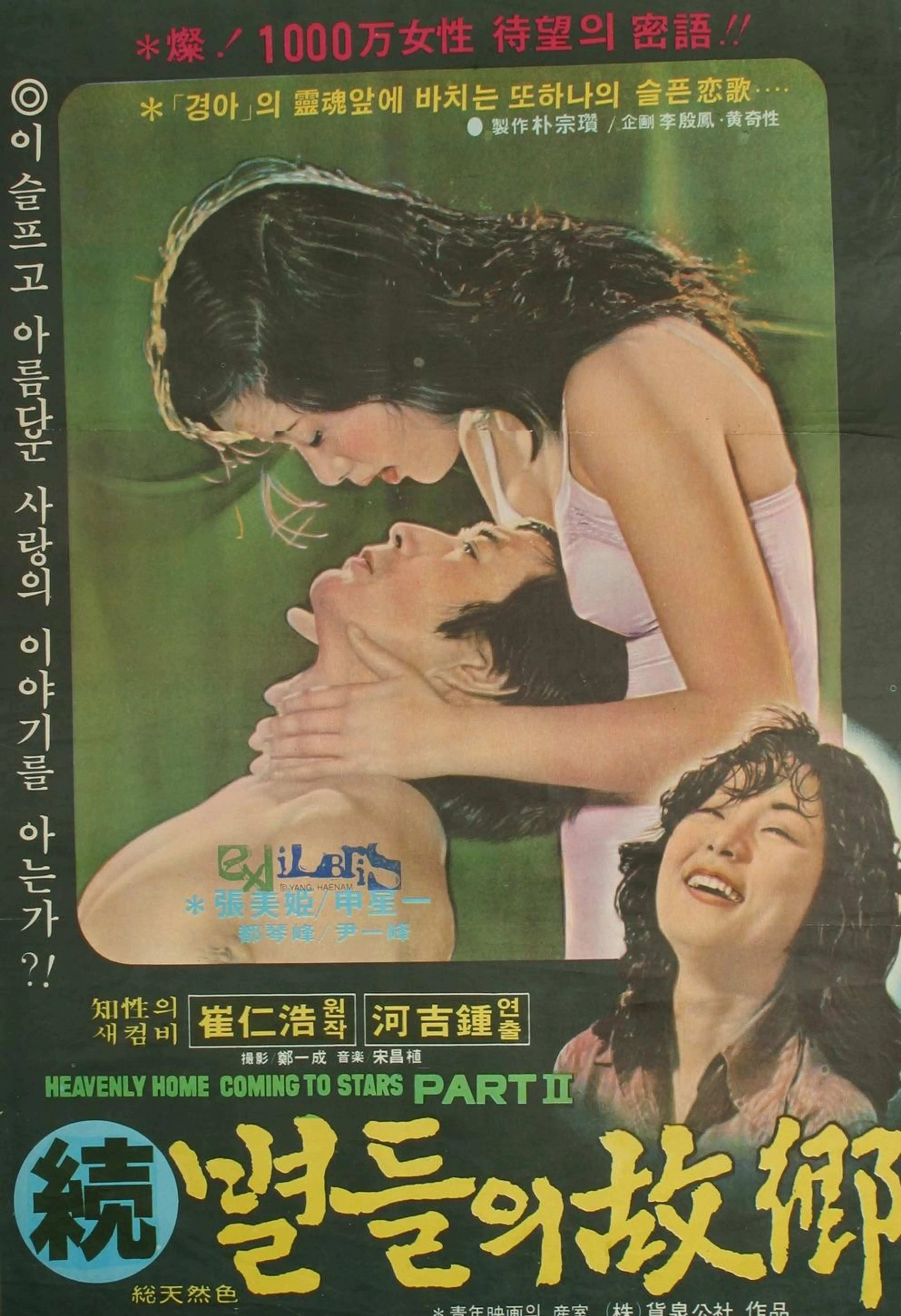 별들의 고향 2