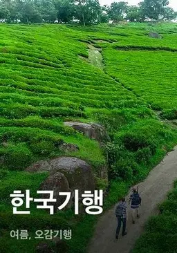 한국기행 - 여름, 오감기행