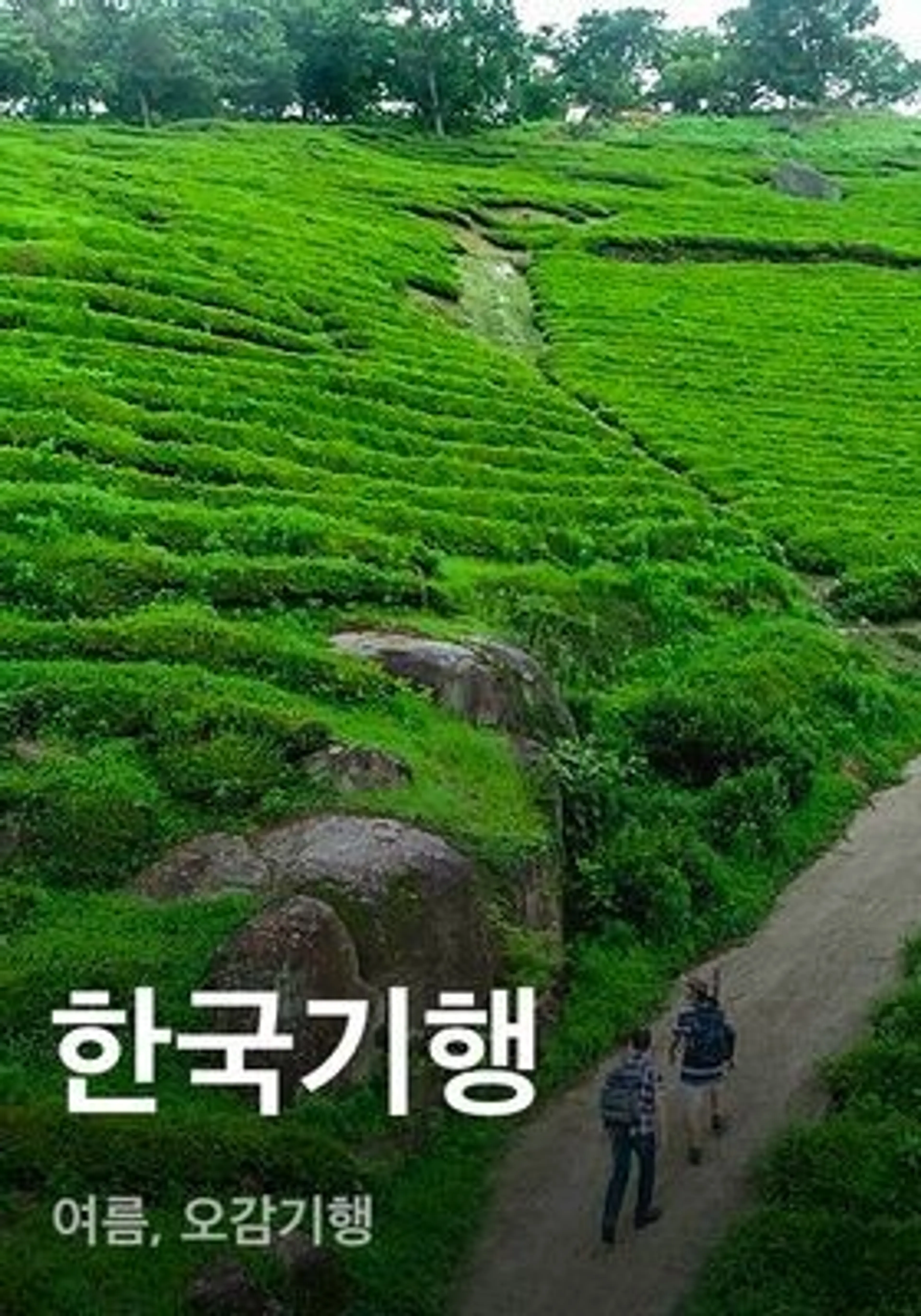 한국기행 - 여름, 오감기행