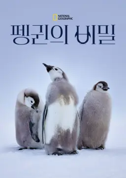 펭귄의 비밀