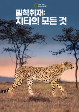 밀착취재: 치타의 모든 것