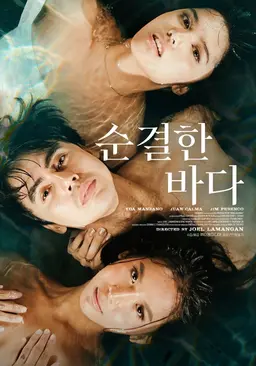 순결한 바다