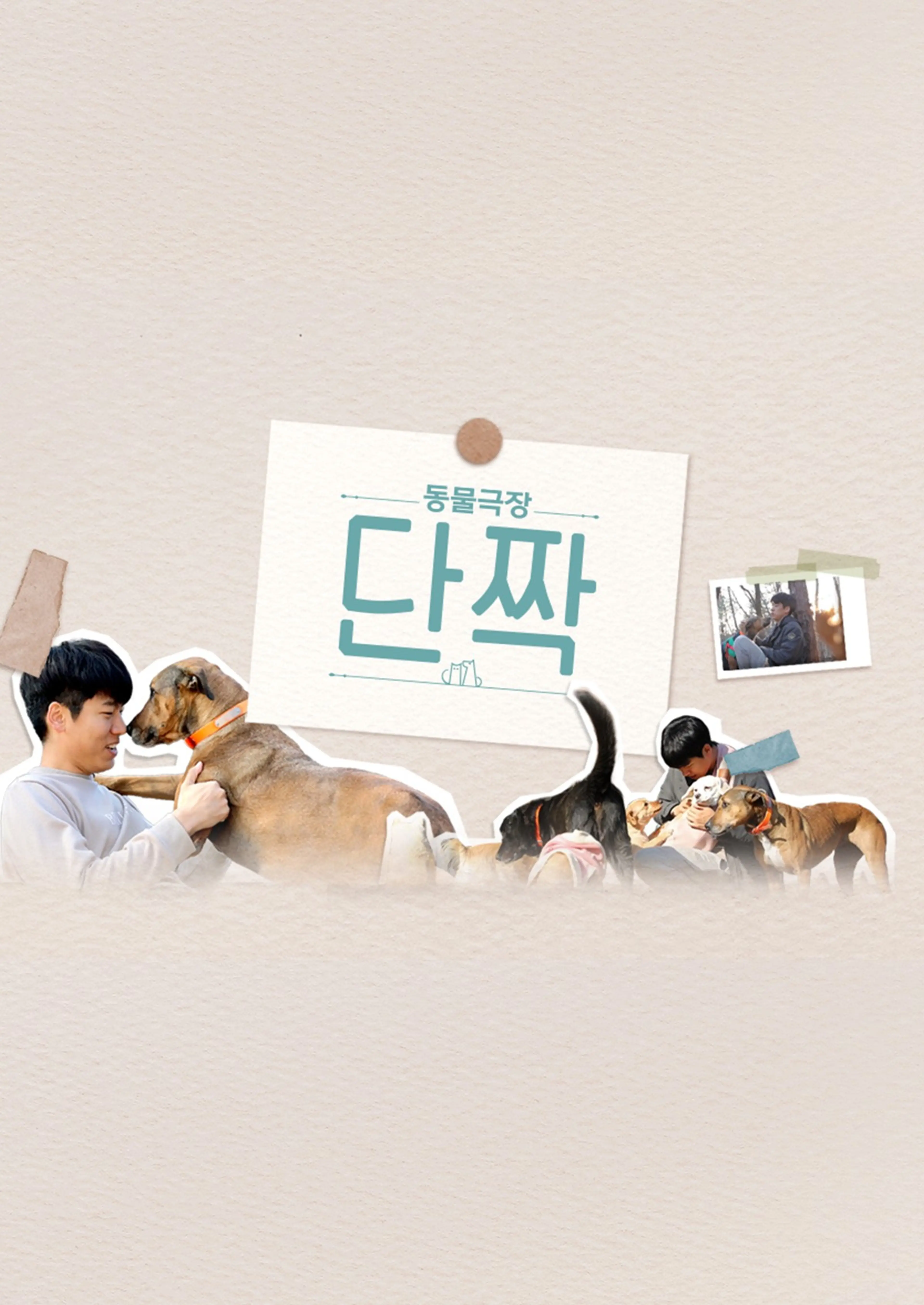 동물극장 단짝