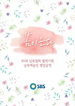 평양 공연