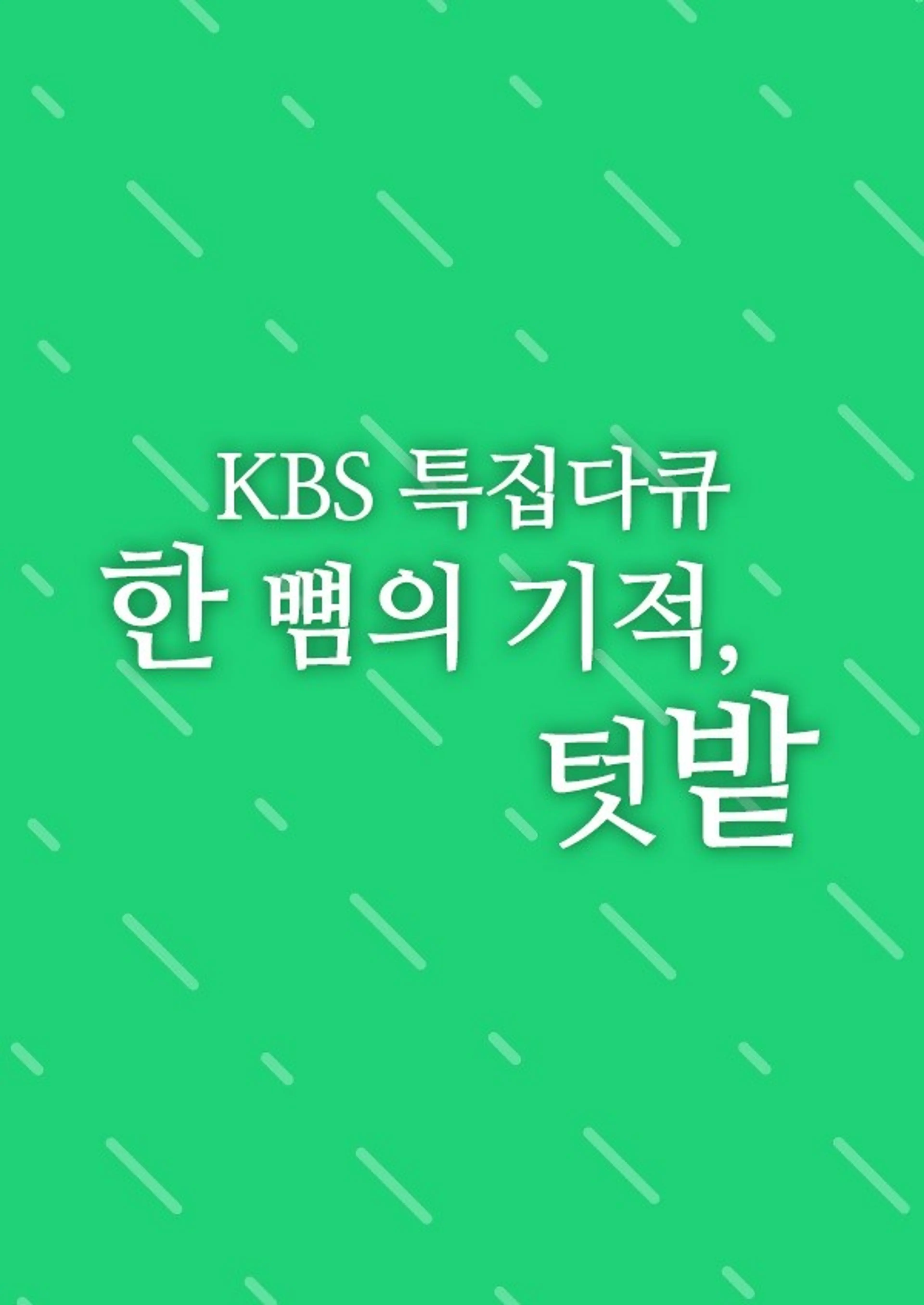 한 뼘의 기적, 텃밭