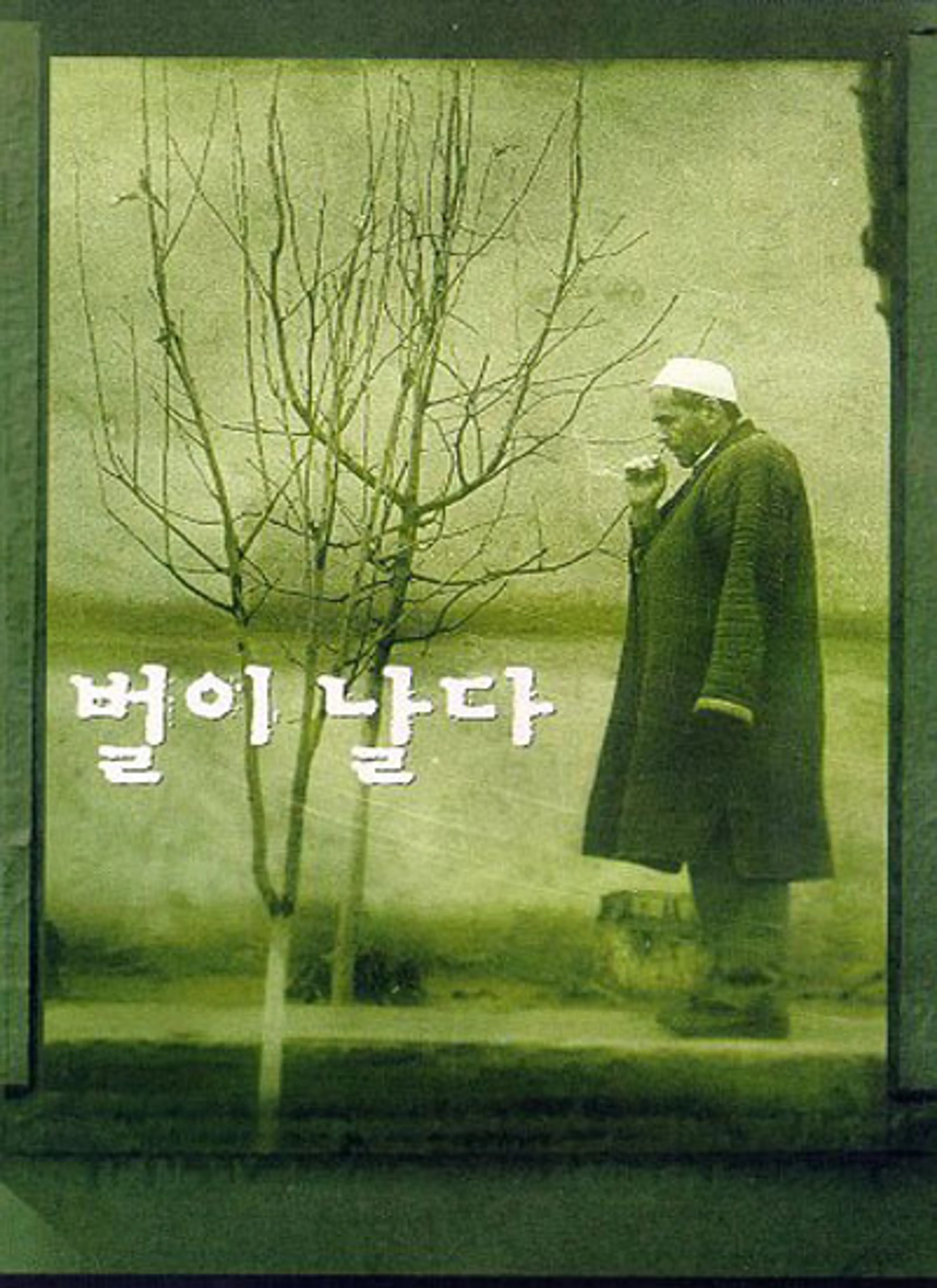벌이 날다