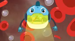 몸바의 바디벤처