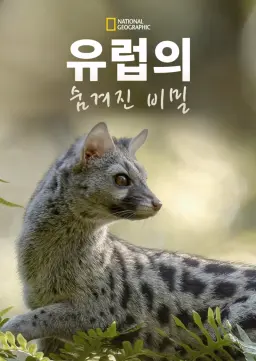 유럽의 숨겨진 비밀