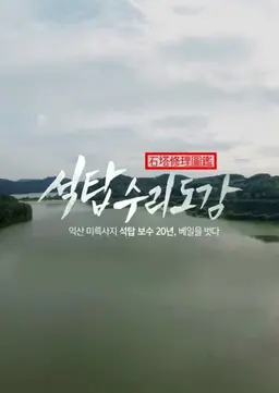 석탑수리도감