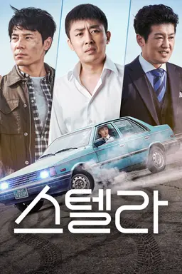 스텔라