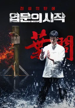 엽문의 시작