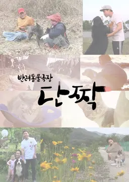 반려동물 극장 단짝
