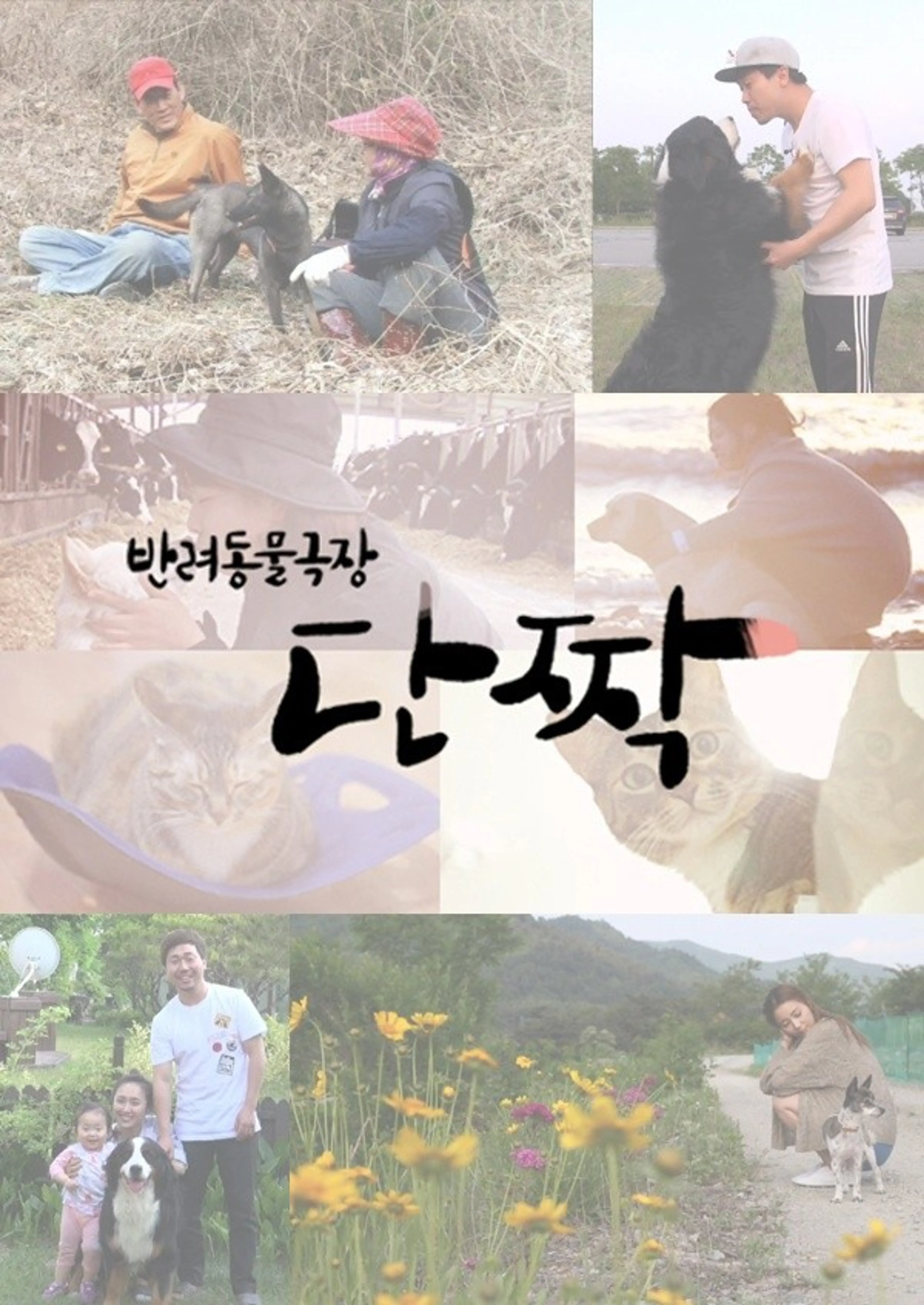 반려동물 극장 단짝