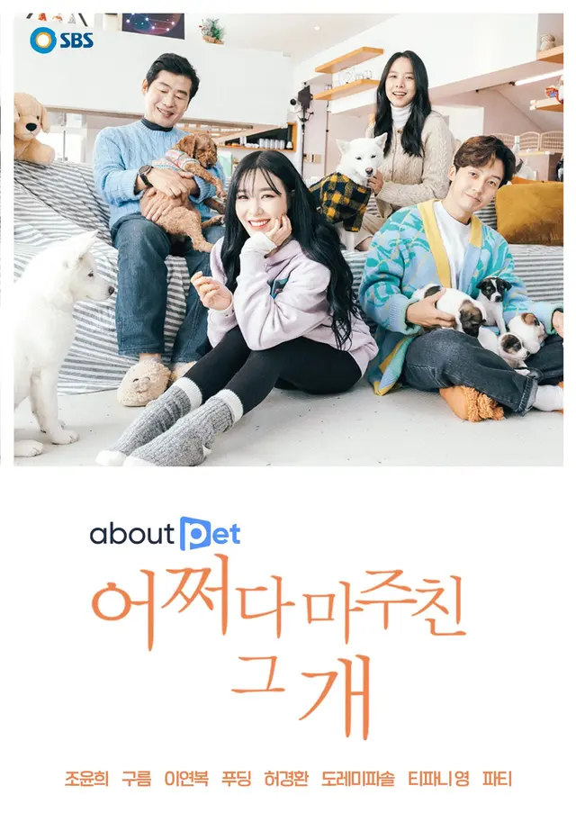 어쩌다 마주친 그 개