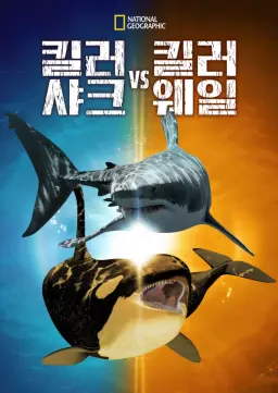 킬러 샤크 vs 킬러 웨일