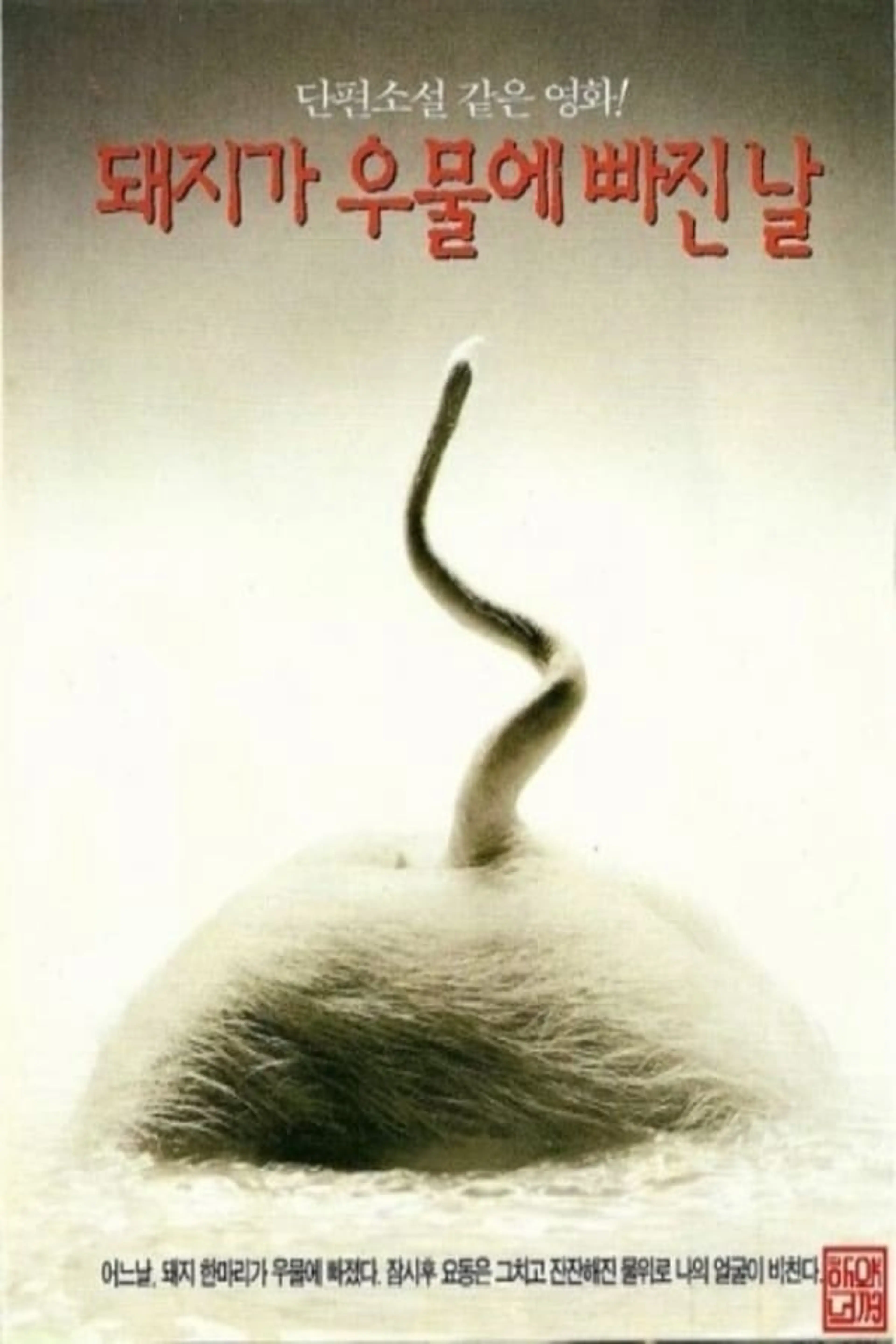 돼지가 우물에 빠진 날