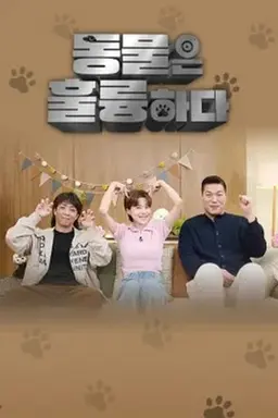 동물은 훌륭하다 (파일럿)