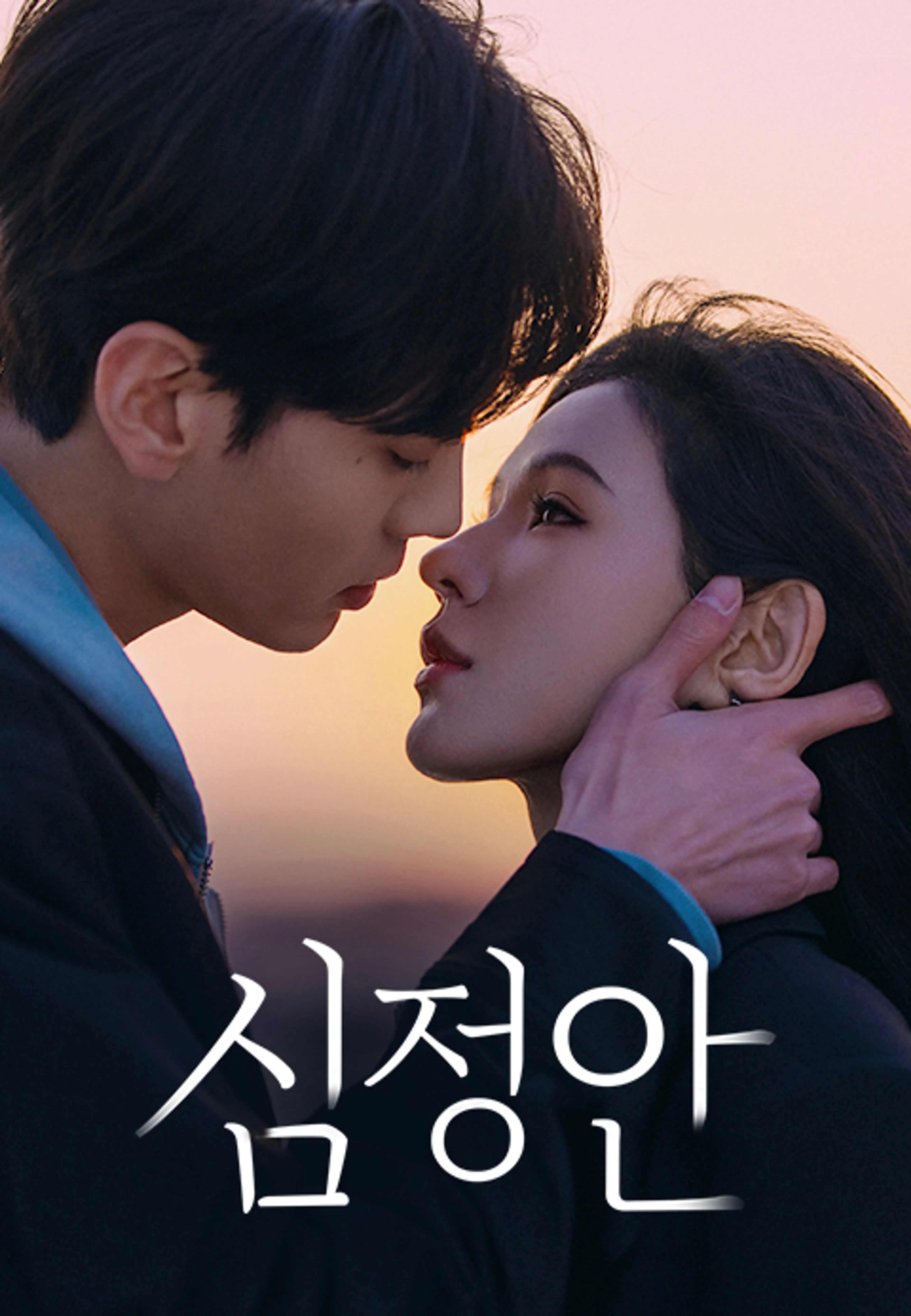 심정안