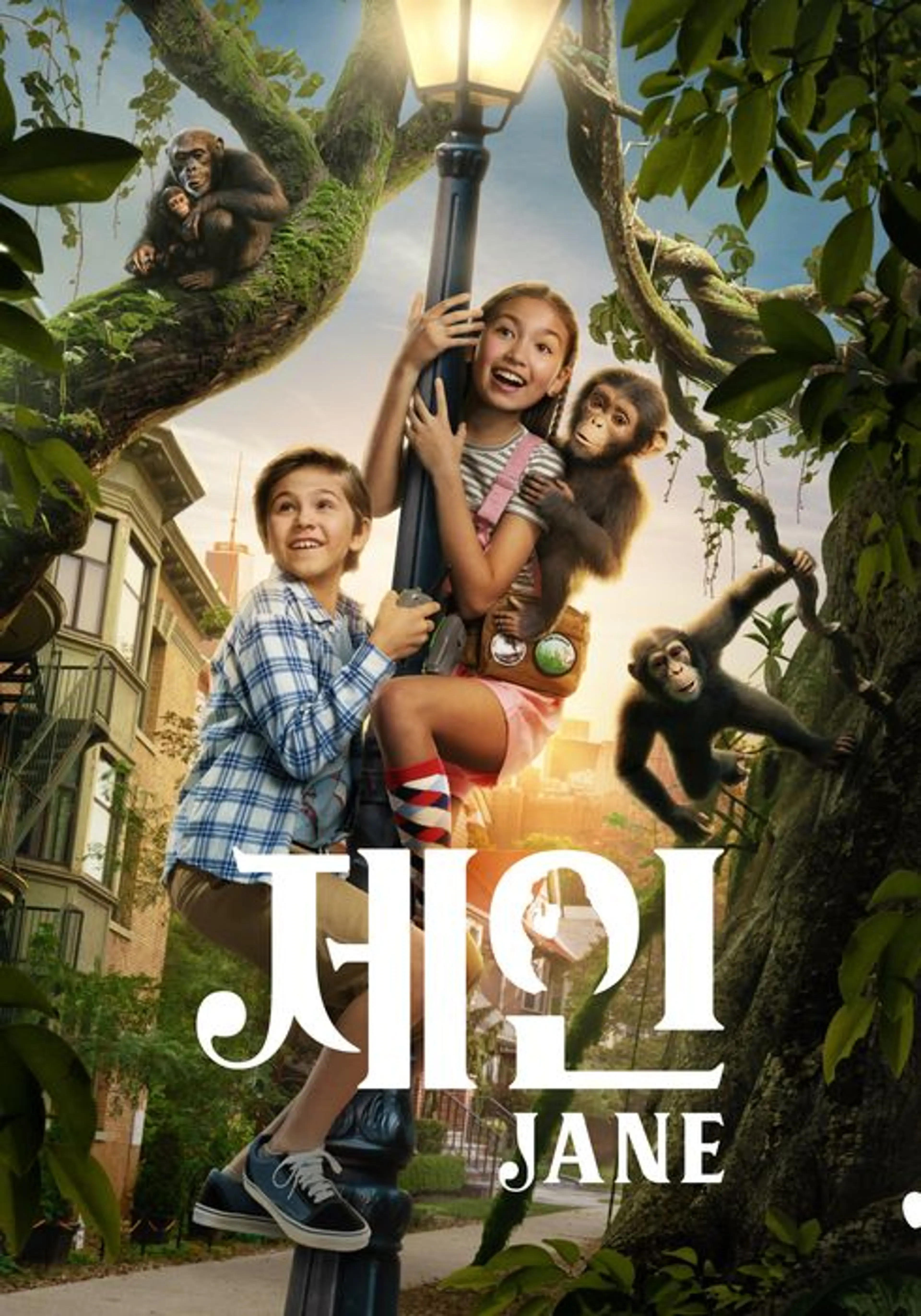 제인 시즌 3