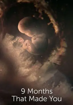 임신 10개월의 비밀