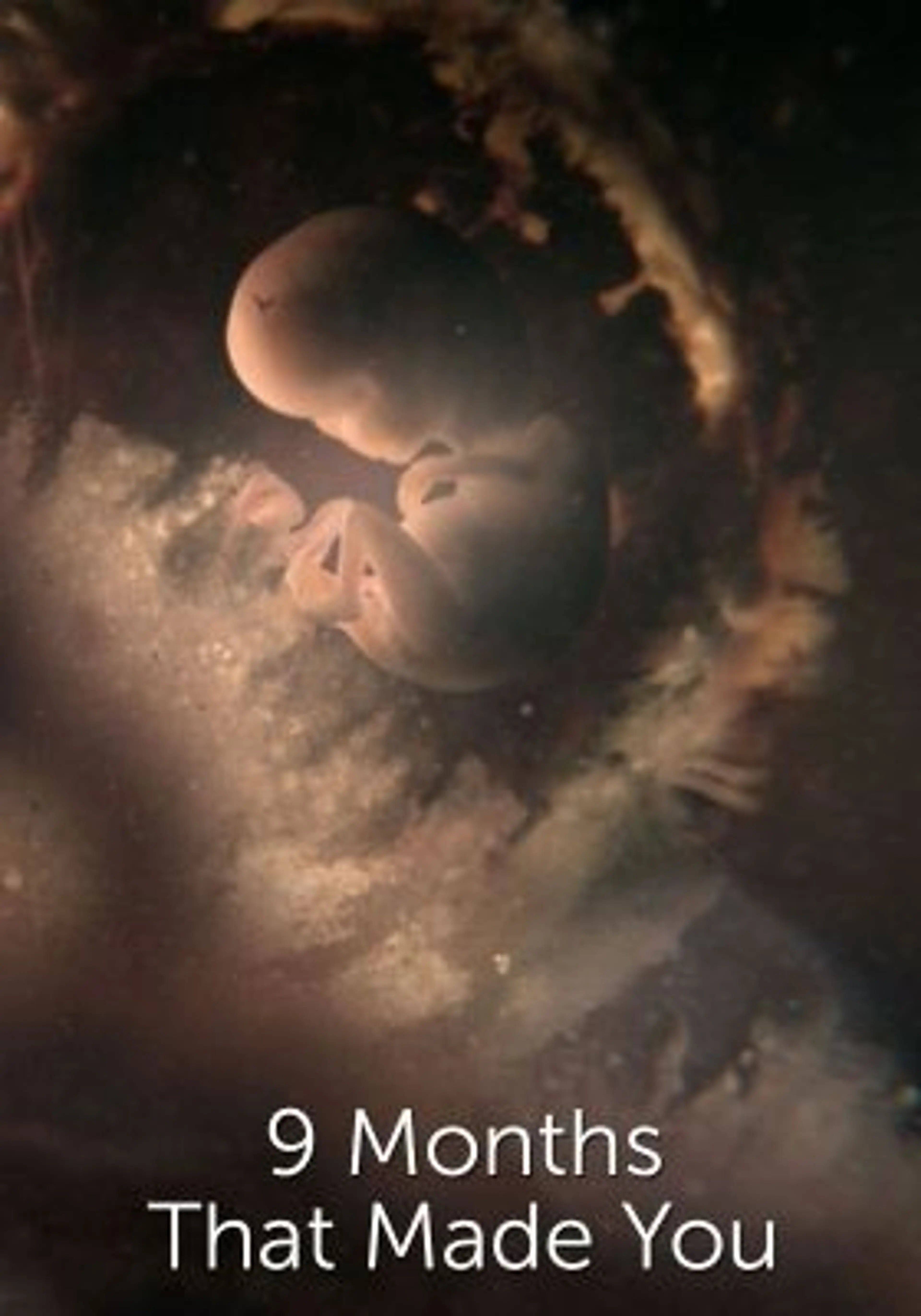 임신 10개월의 비밀