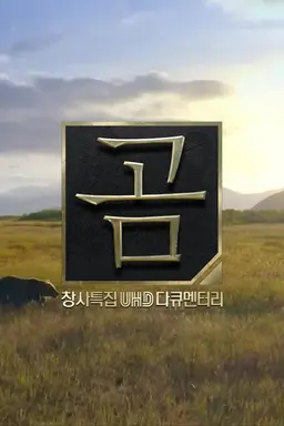 UHD 다큐멘터리 곰