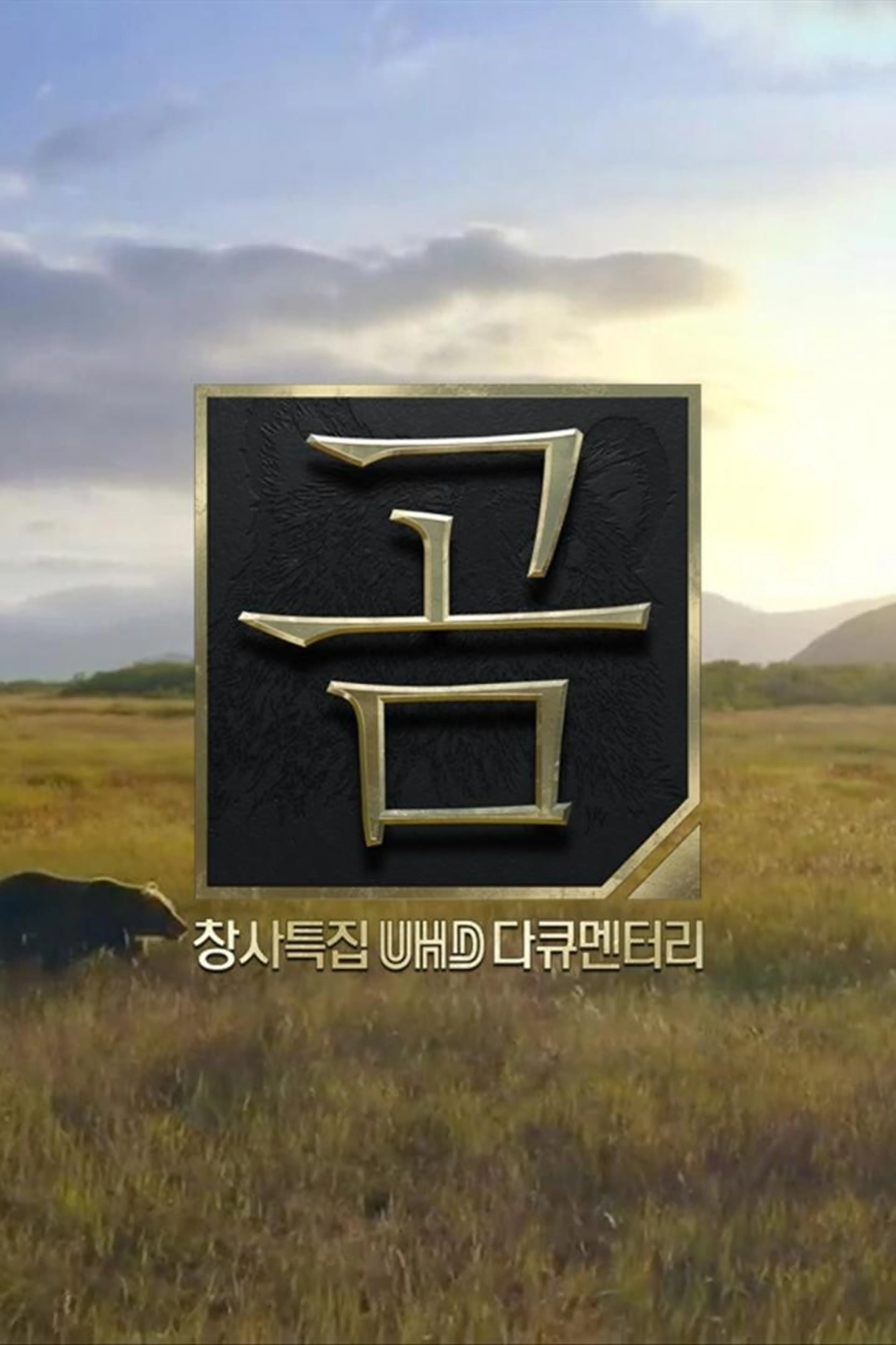 UHD 다큐멘터리 곰