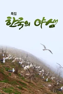 특집 한국의 야생