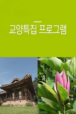 교양 특집 프로그램