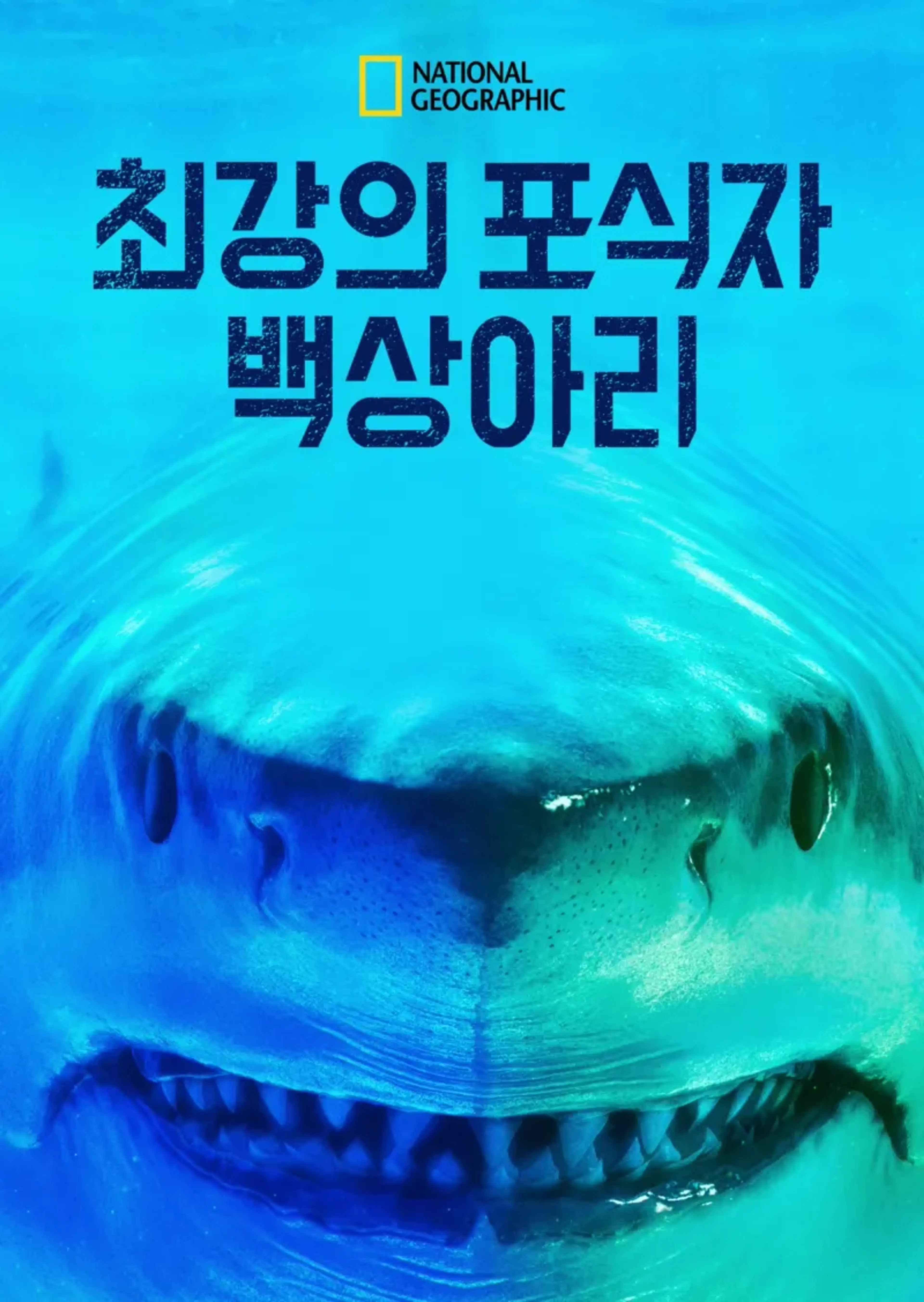 최강의 포식자, 백상아리