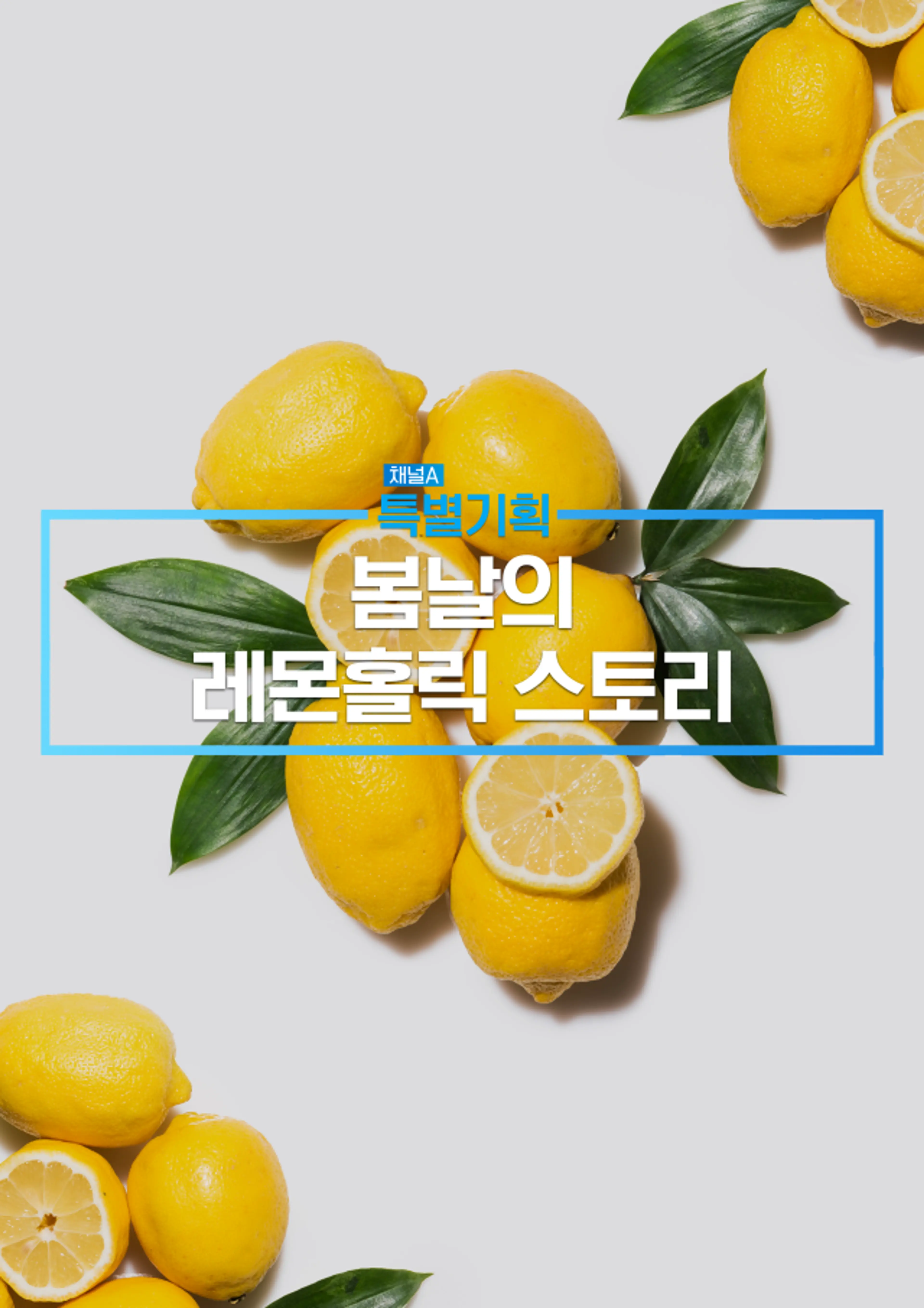 특별기획 봄날의 레몬홀릭 스토리