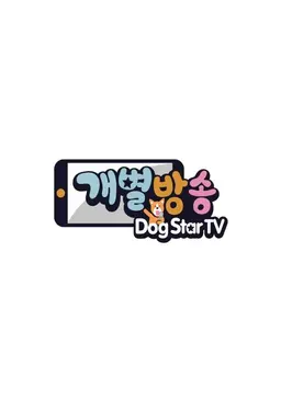 개별방송