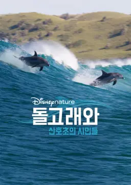 돌고래와 산호초의 시민들