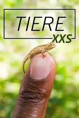 가장 작은 동물들