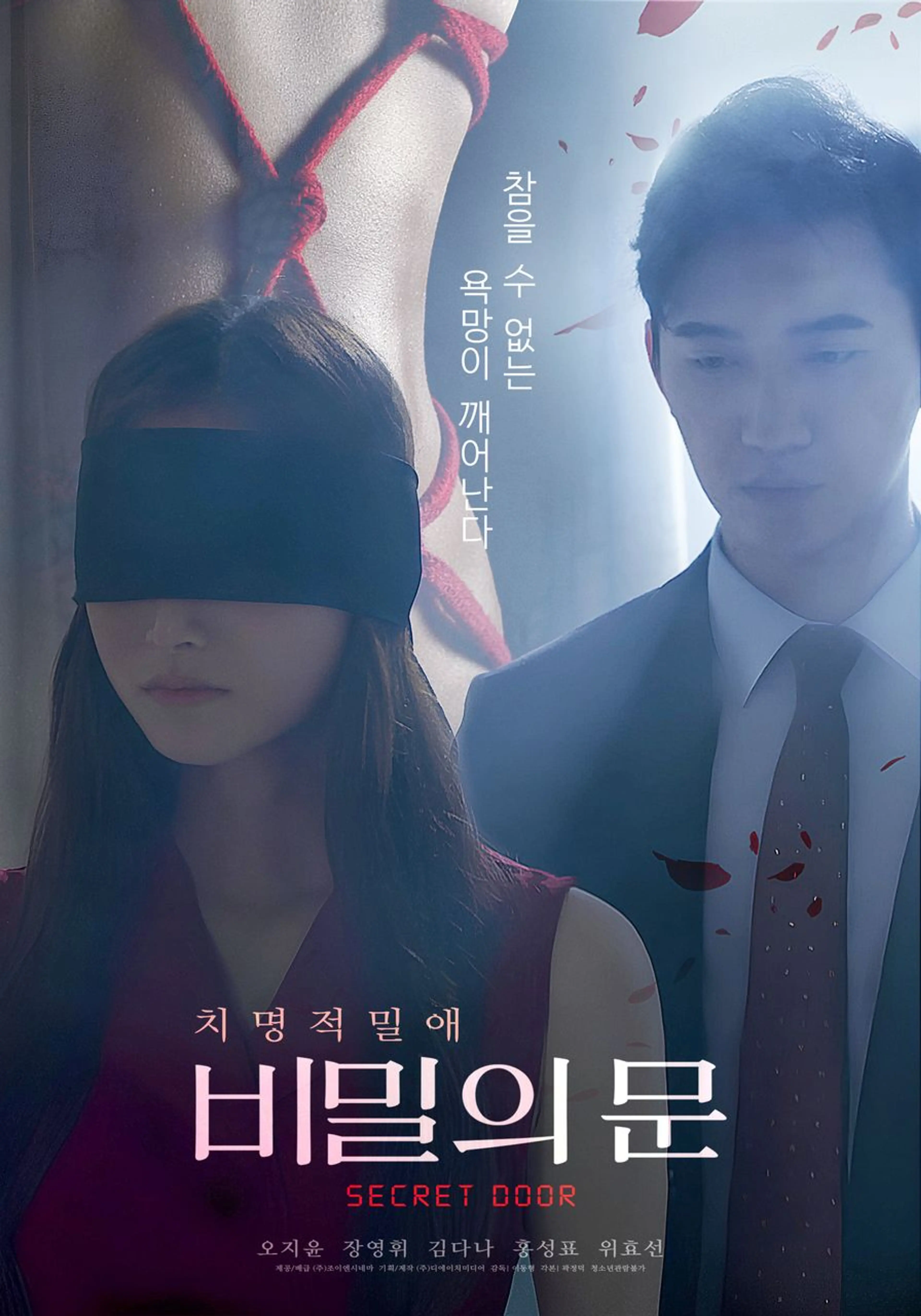 비밀의 문