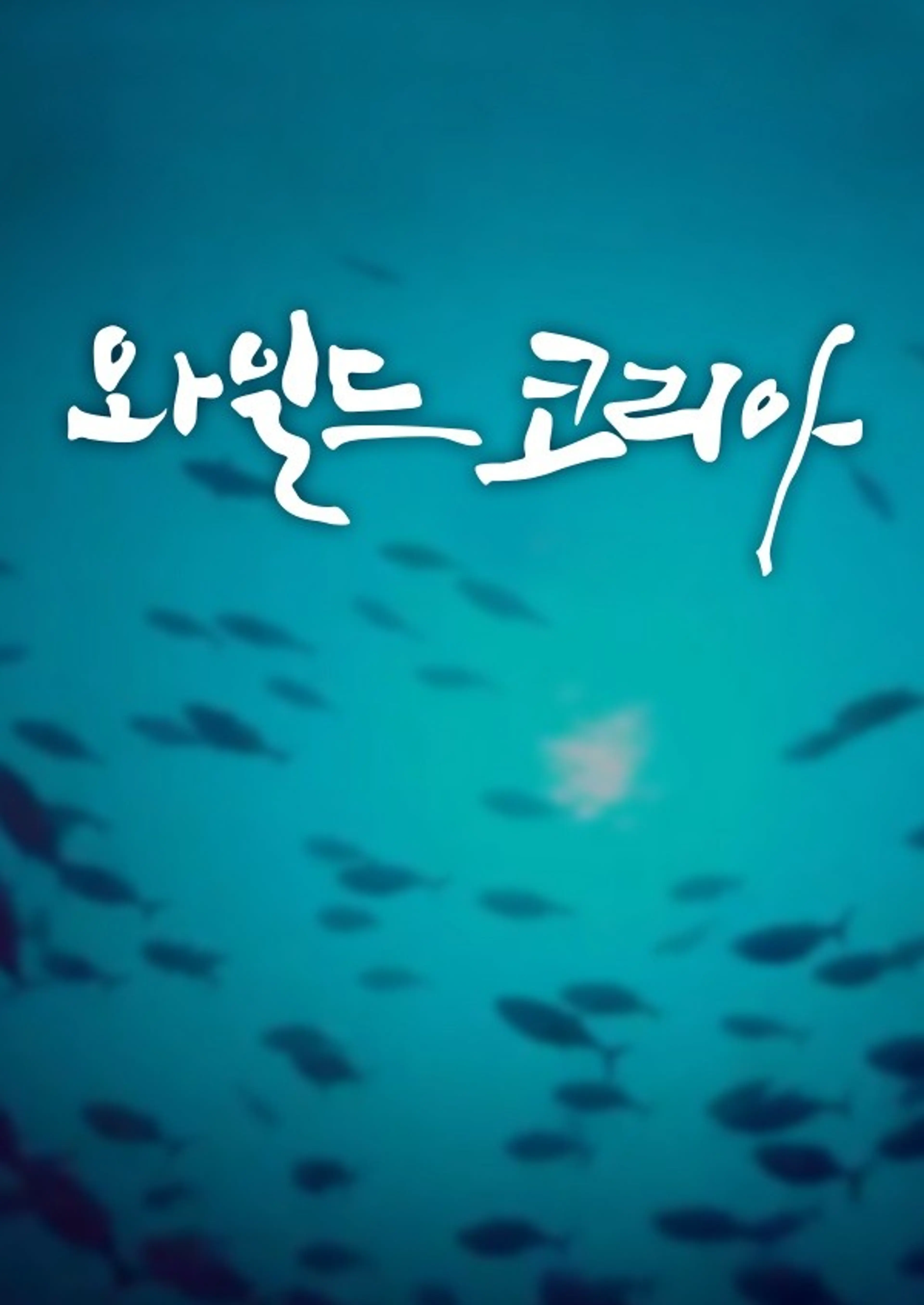 와일드 코리아