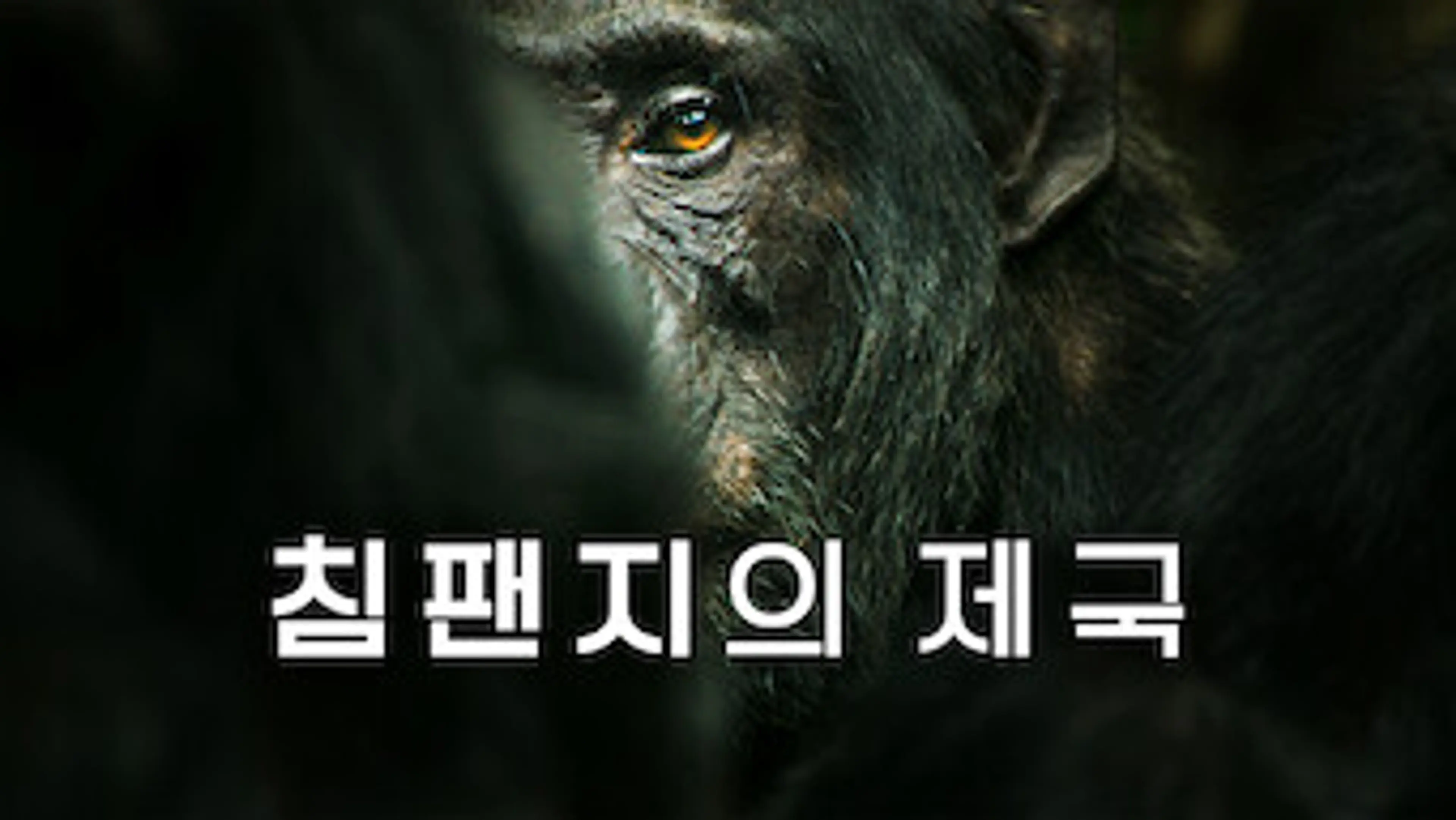 침팬지의 제국