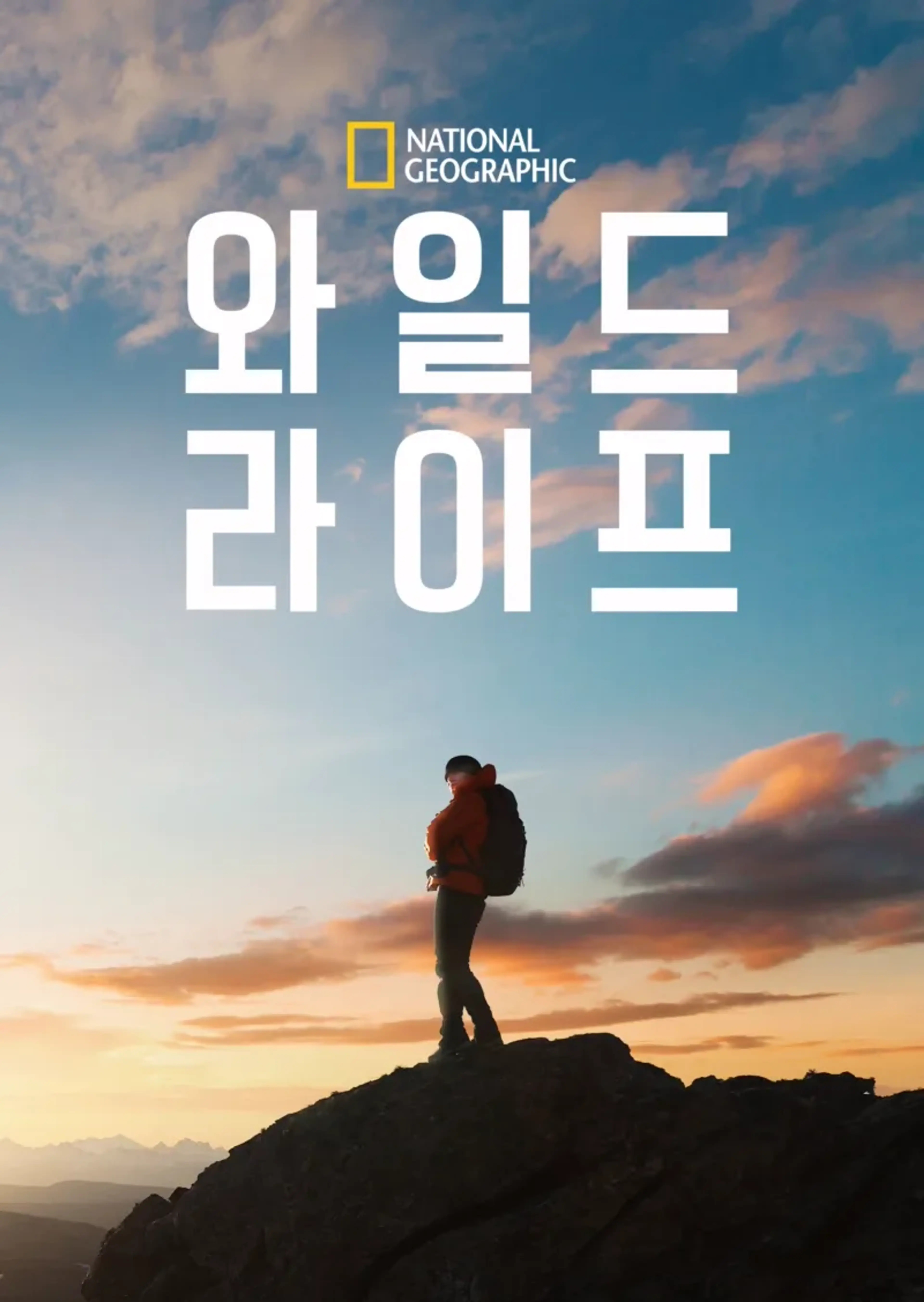 와일드 라이프