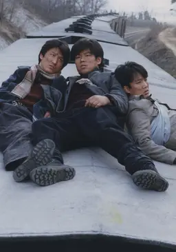 시라소니