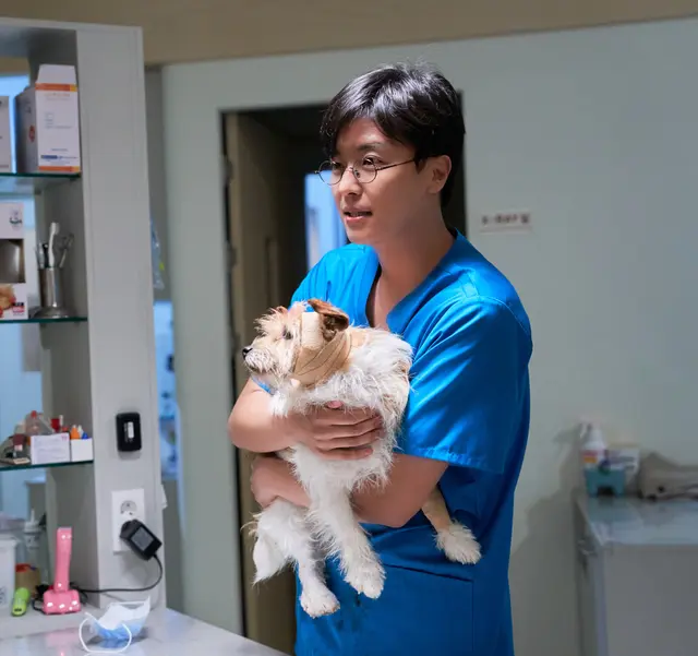 영화 파과 리뷰 반응 평점 관람평 쿠키영상 - 청불 수위, 이야기 개연성