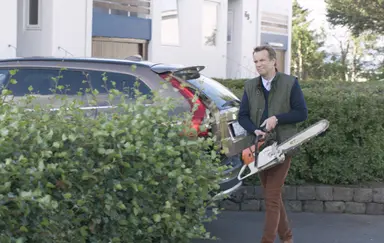 나무 한 그루가 부른 이웃간의 참극 : 네이트 연예